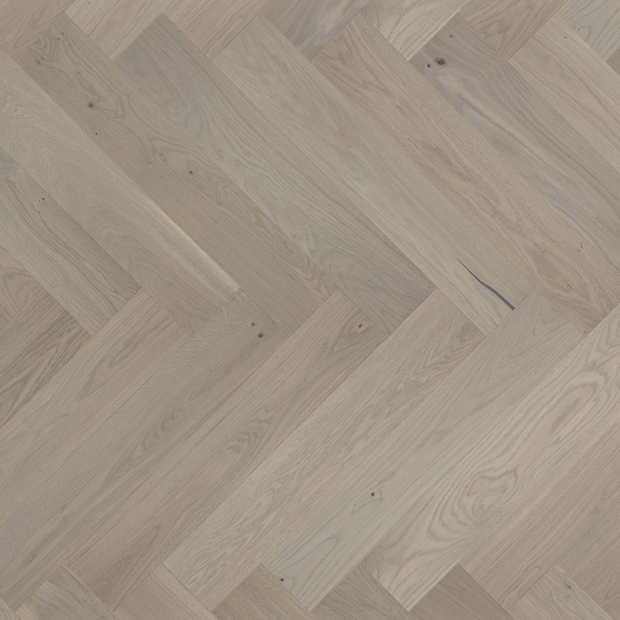 Free Sample of Ashton & Rose Gillow engineered hardwood floor from our Herringbone collection